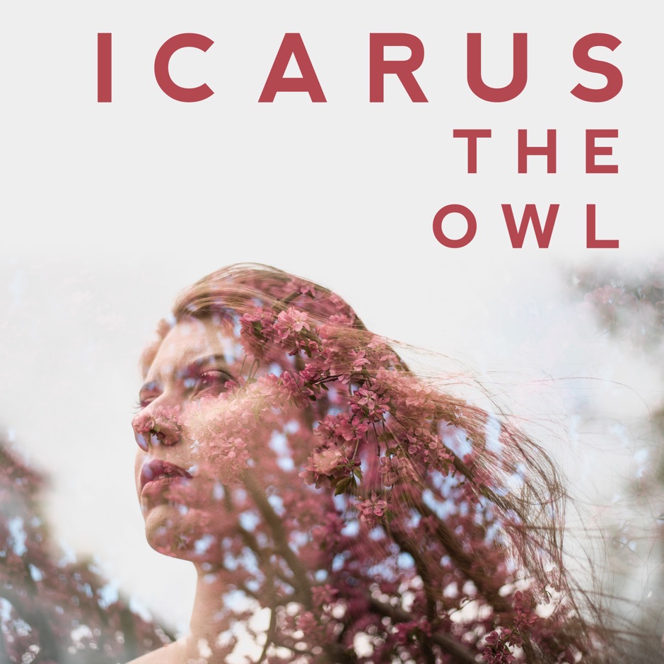 Icarus the Owl - Rearm Circuits